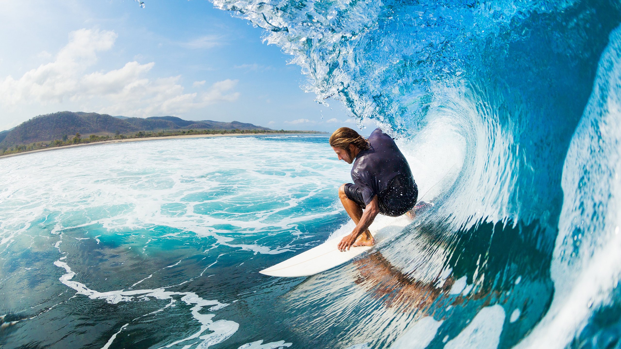 区块链文件处理，将交易公平和透明推进到新高度，区块链中的dao